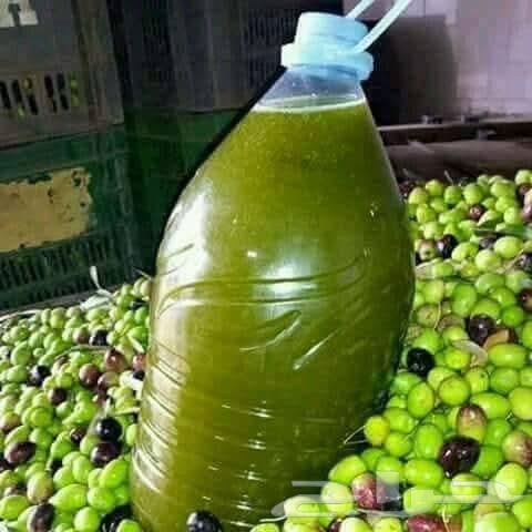 زيت زيتون فلسطيني بكر على البارد زيت على شرط64405638582273110