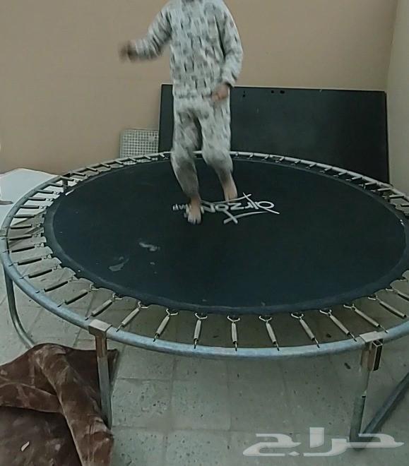 نطيطة ترامبولين - 12 قدم للبيع على السوم والصامل ما نختلف مع64567530989186113