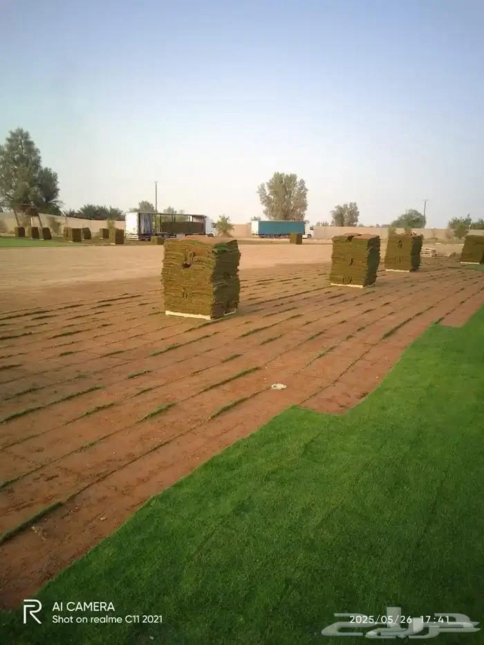 ثيل طبيعي درجه اولى C2000فرنسي64570503879426111