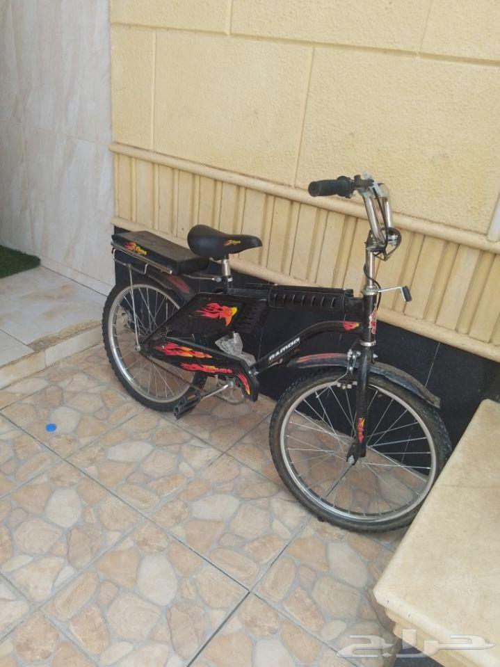 سيكل رامبو استعمال شهر جديد بكوبرا ما يشتري الا الصمال64569998736257110