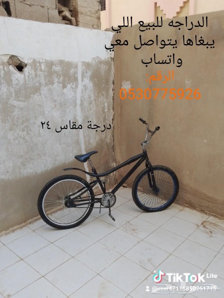 دراجه كوبرا مقاس 2464570942308866110