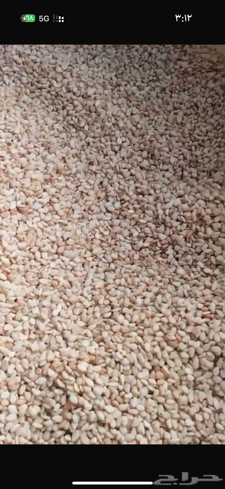 White sesame64567849973507111