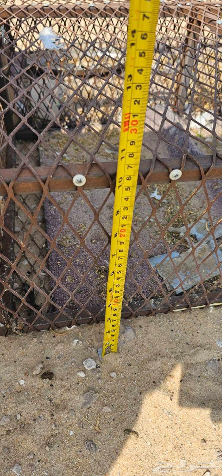 قفصين حمام   دجاج64565158515458114