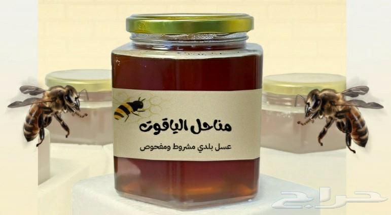 عروض اليوم الوطني64570669108610112