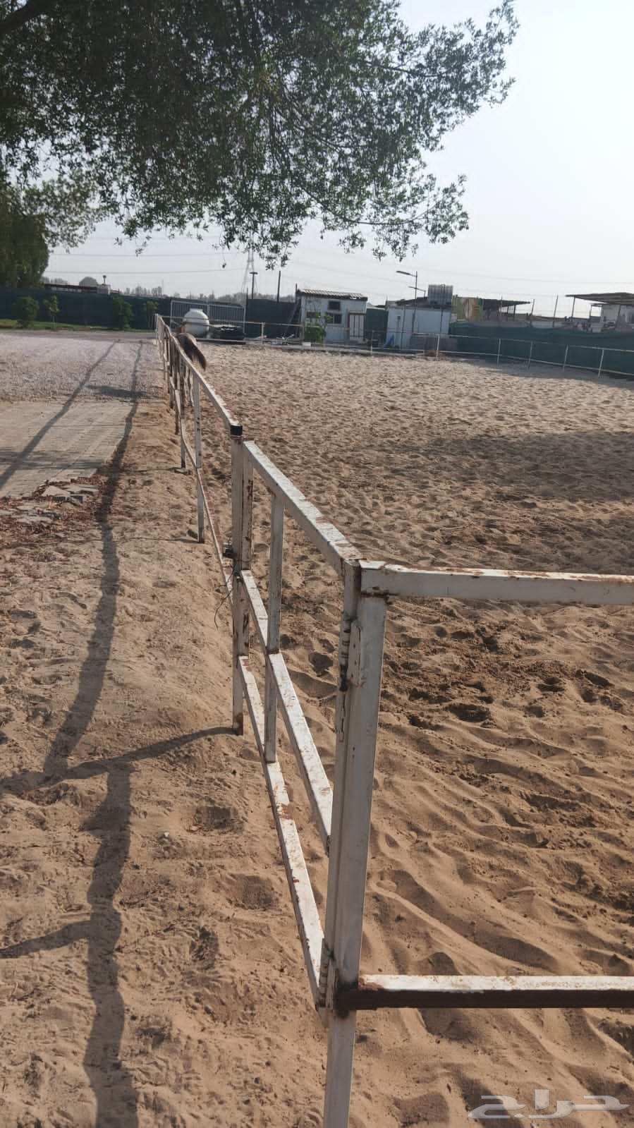 مجموعة مرتبات وحديد وشنكو واتشات حديد كميه كبيرة للبيع64564657134723112