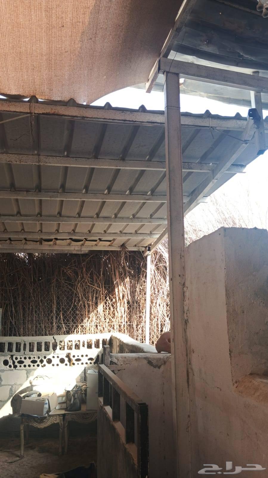 مجموعة مرتبات وحديد وشنكو واتشات حديد كميه كبيرة للبيع64564657134723111