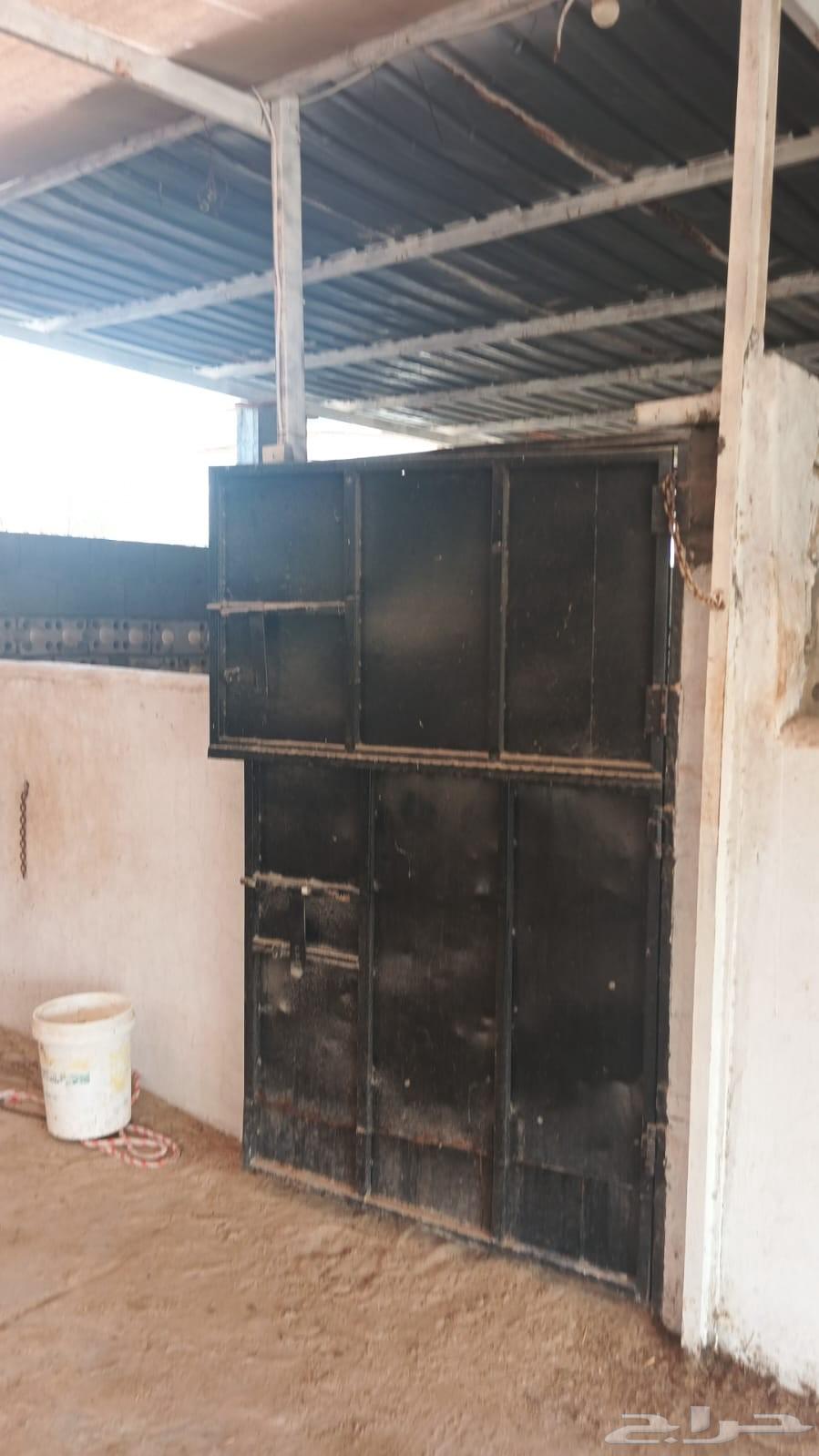 مجموعة مرتبات وحديد وشنكو واتشات حديد كميه كبيرة للبيع64564657134723110