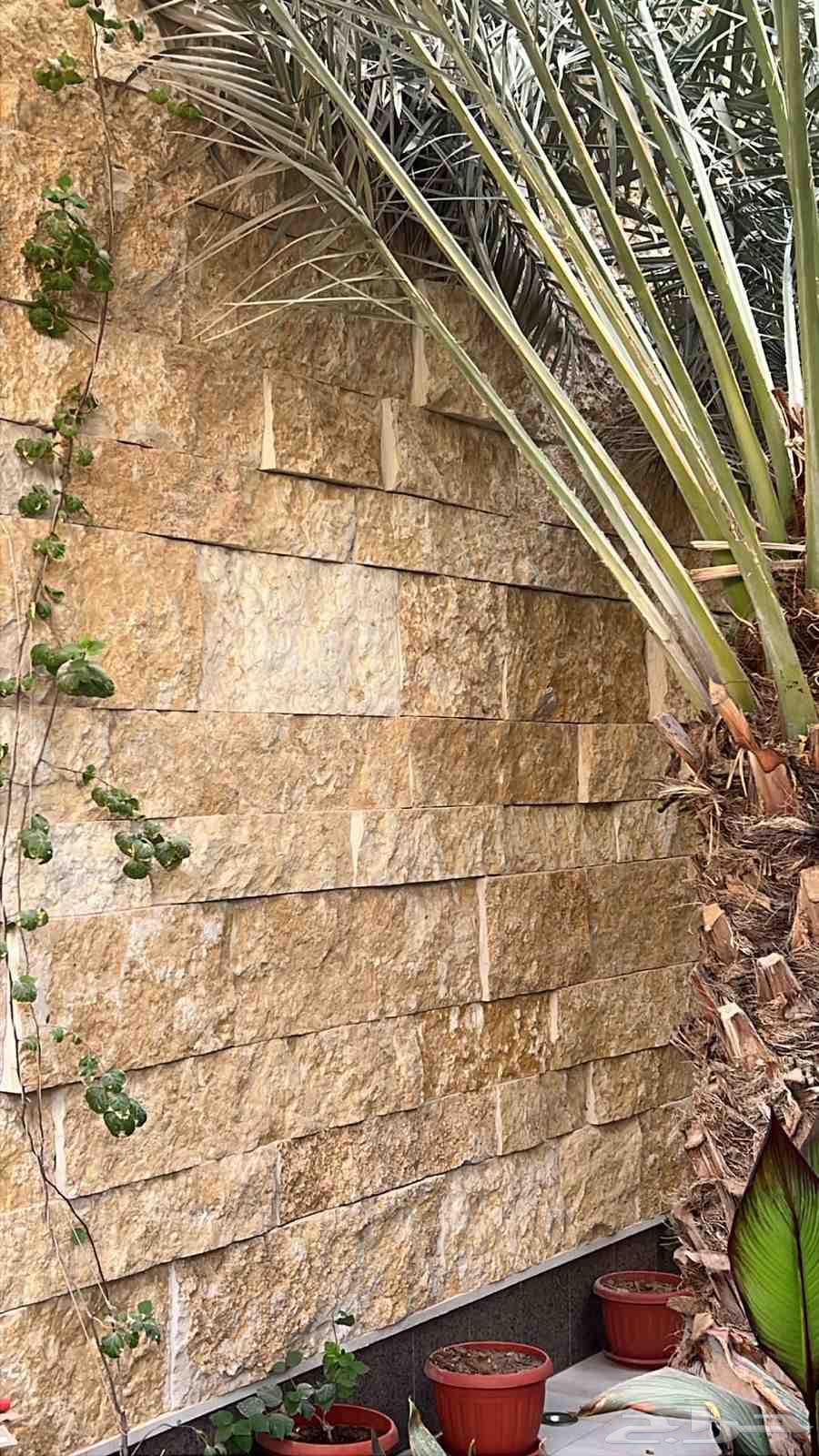 حجر وجه الجبل64566921116290110