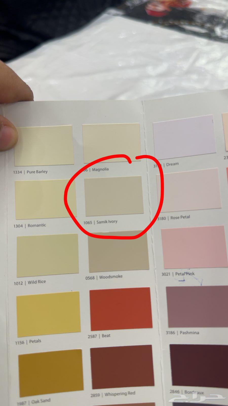 أخصائي طلاء64153996476291112