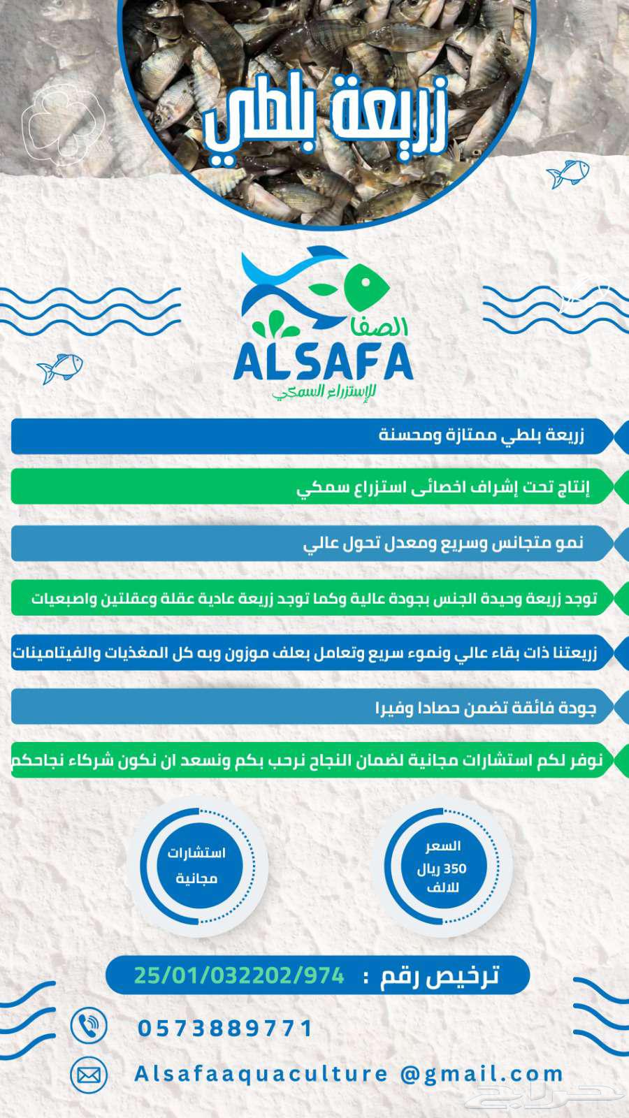 زريعة بلطي محسنة للبيع64564894220674110