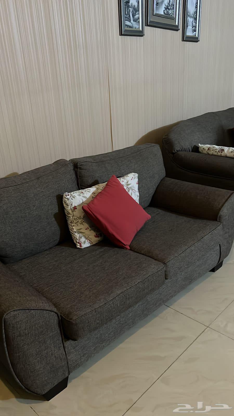 طقمين كنب منجدين نفس اللون64567808547331114