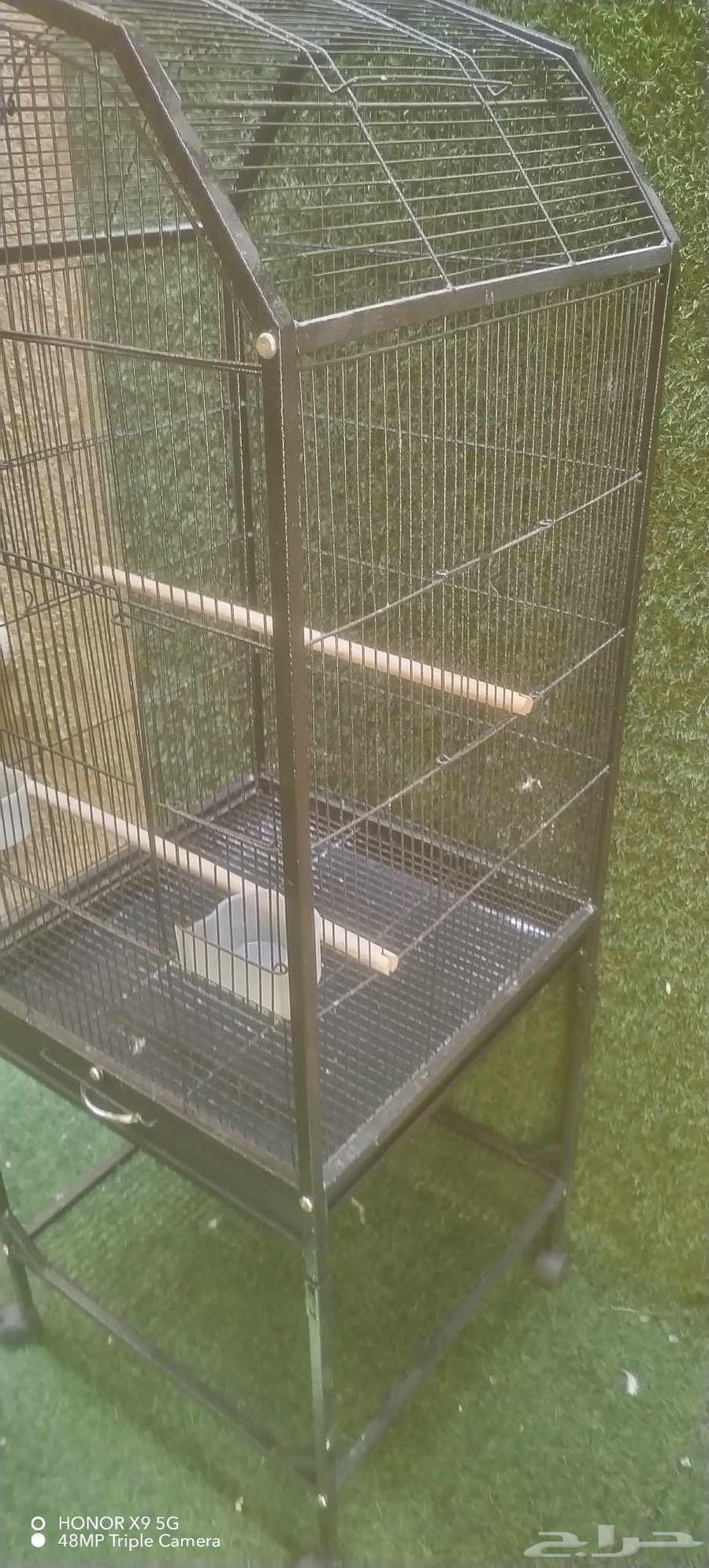 قفص طيورصغيرة64565536296323113