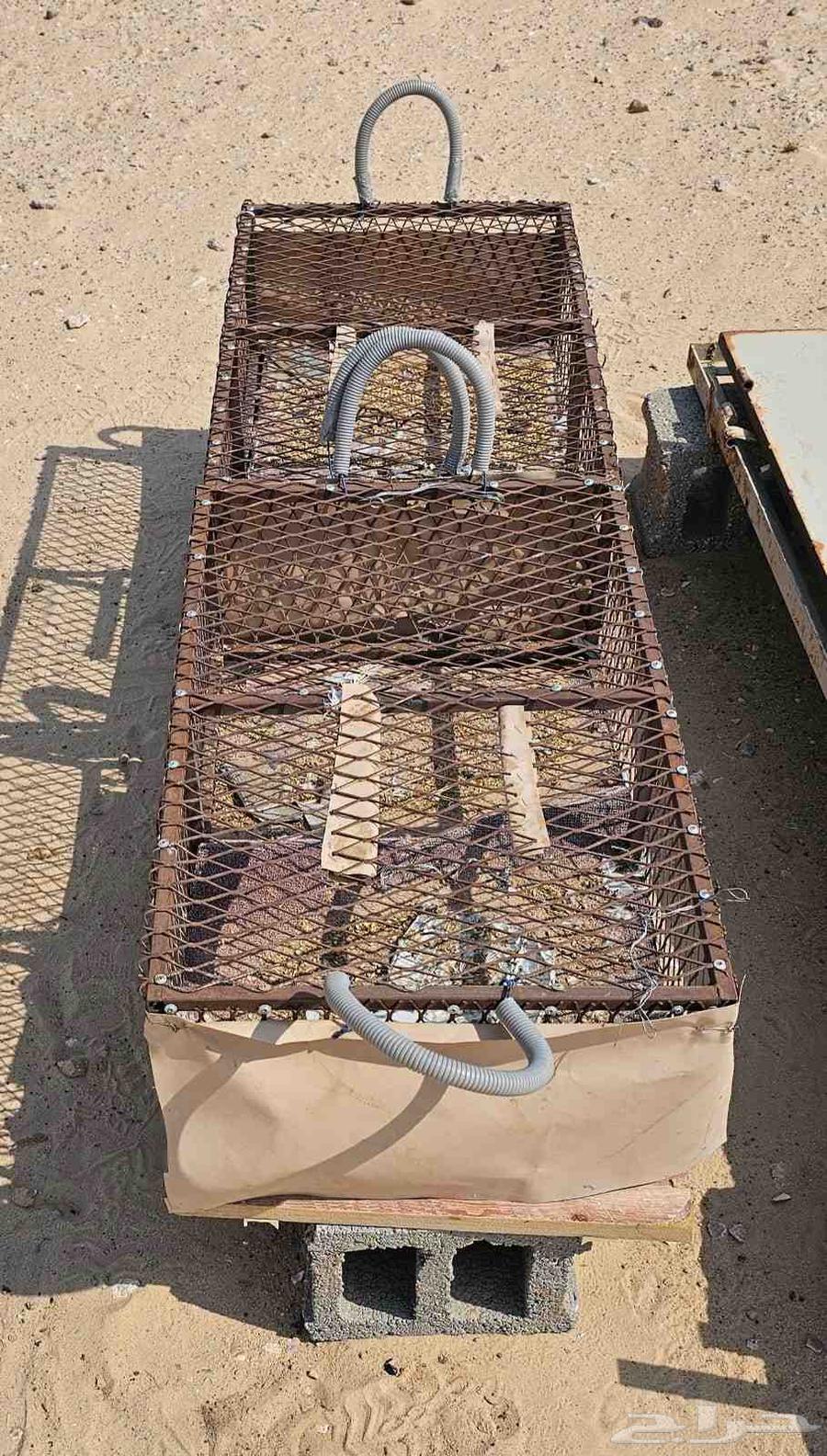 قفصين حمام   دجاج64565158515458112