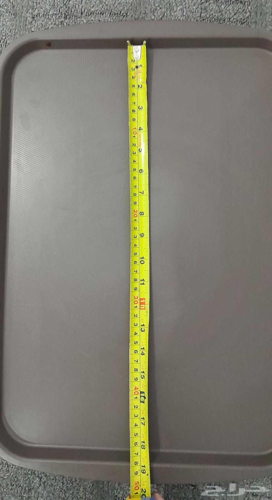 Large Tabbasi64564088349441111