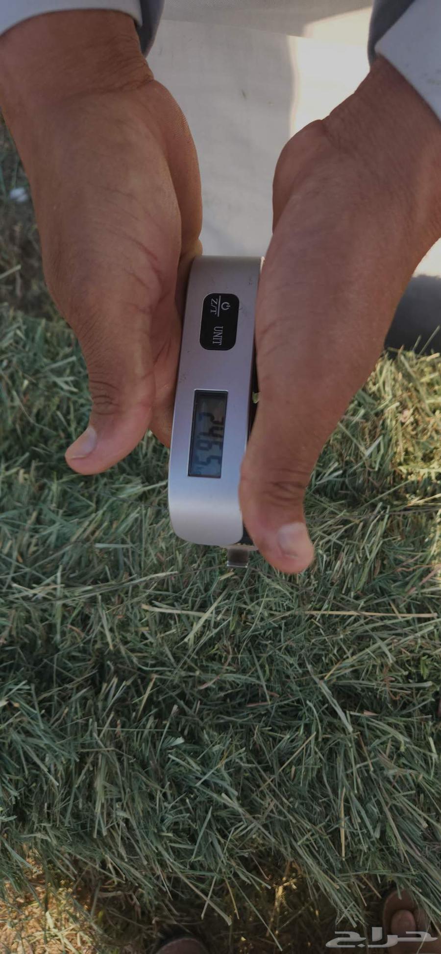 ابومحمد لبيع الاعلاف64566741891201113