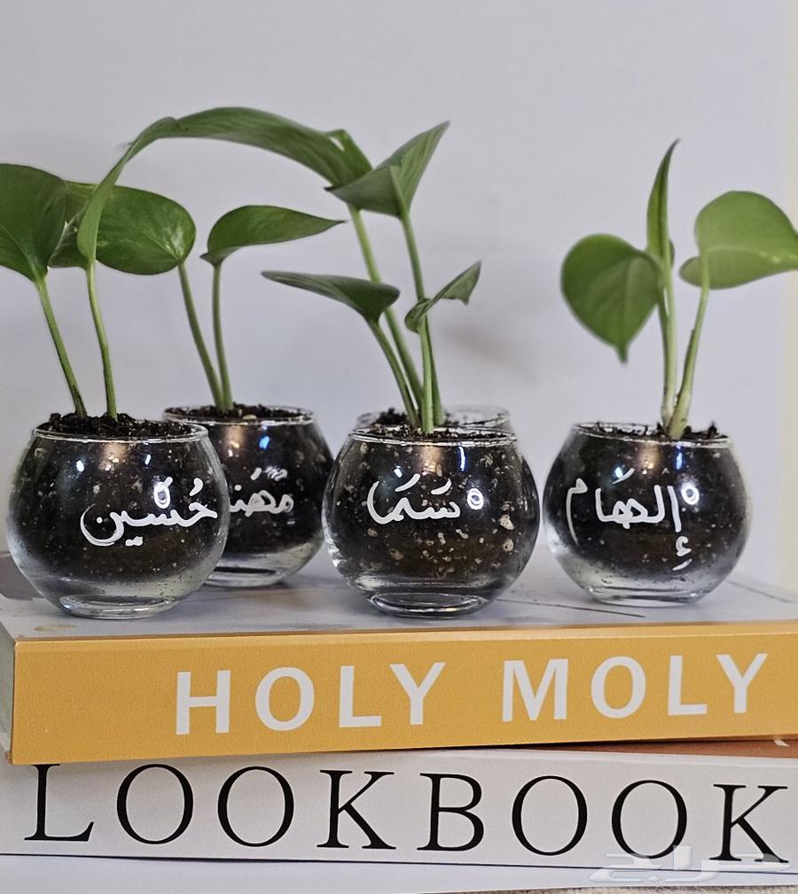 Various distributions64565103100290110