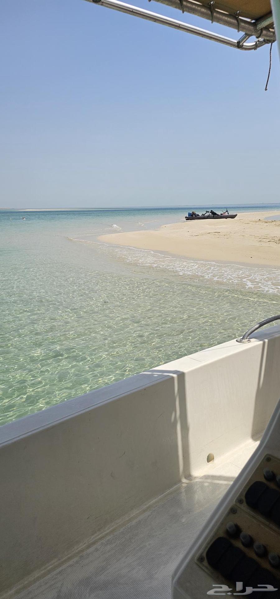 عرض اليوم الوطني 195 ريال فقط64569753855490110