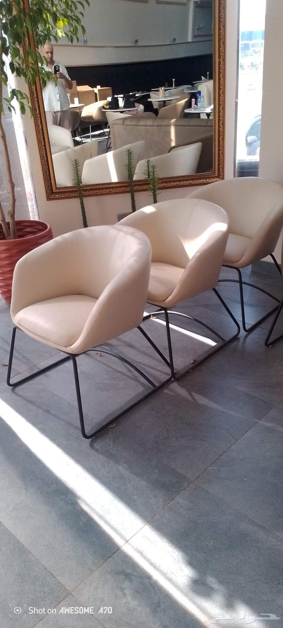 كتب و كراسي وطاولات لاونجات ومطاعم جديدة لم تستخدم64567295597570110