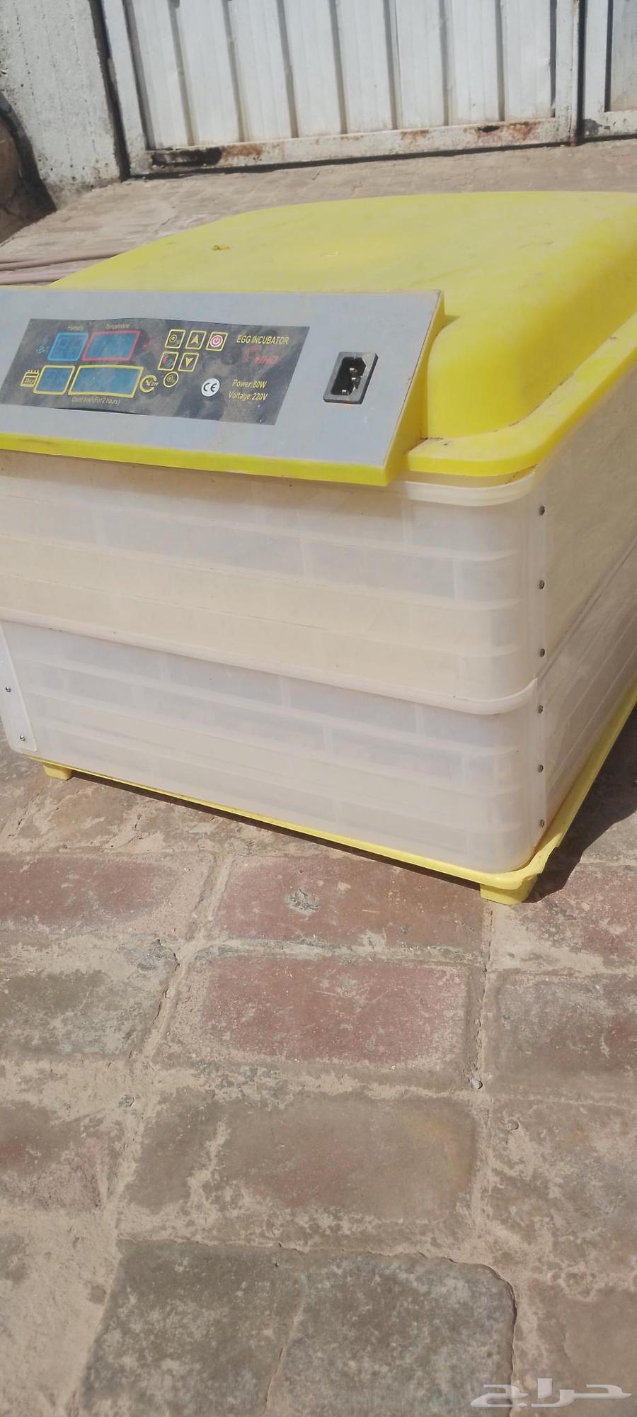 Small used incubator for sale, used once64564115846787111