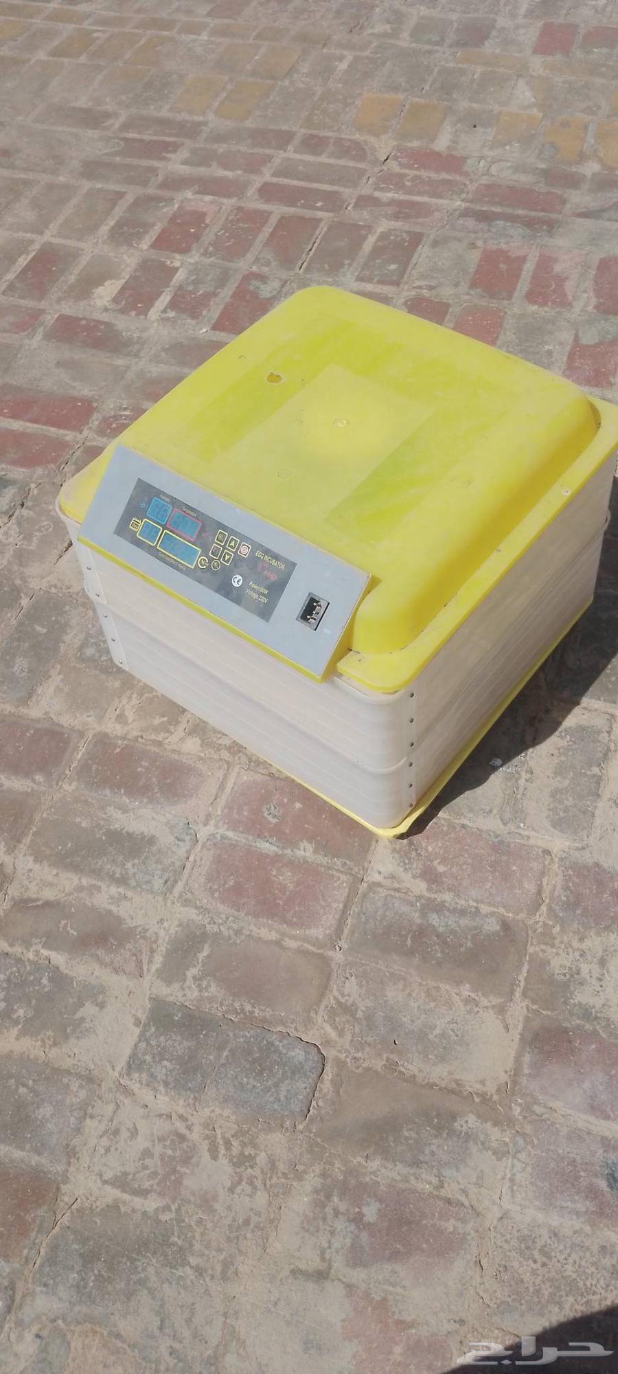 Small used incubator for sale, used once64564115846787110