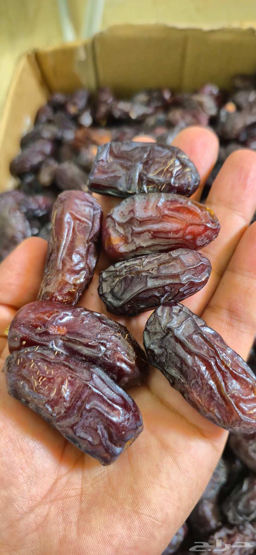 تمر صفاوي فاخر من المدينة المنورة كرتون موز كامل 20 كيلو64566341265281110