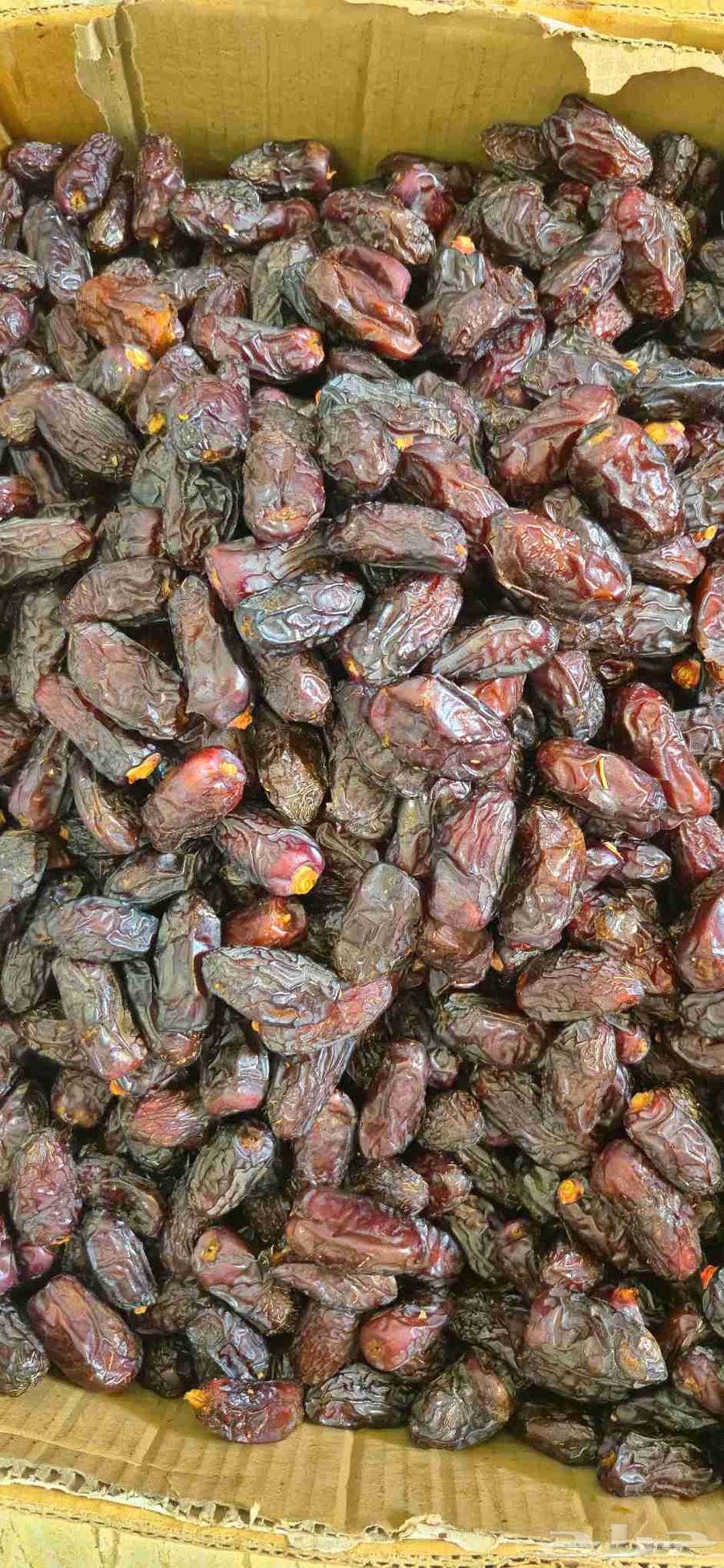 تمر صفاوي فاخر من المدينة المنورة كرتون موز كامل 20 كيلو64566341265281112