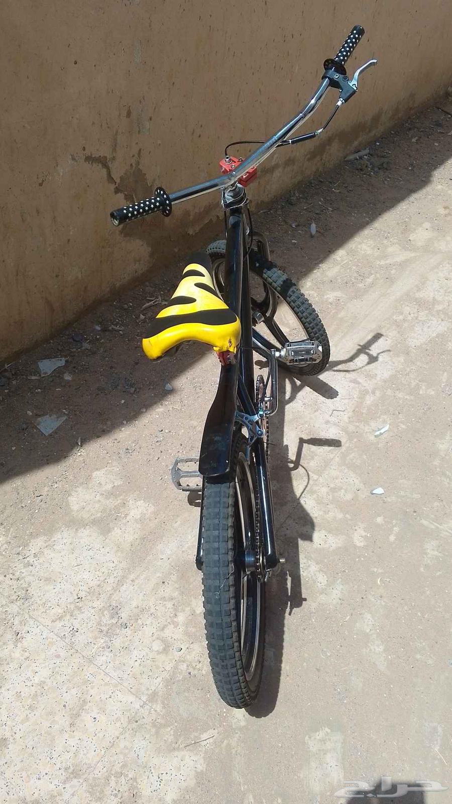 Cobra size 2064574103152515112