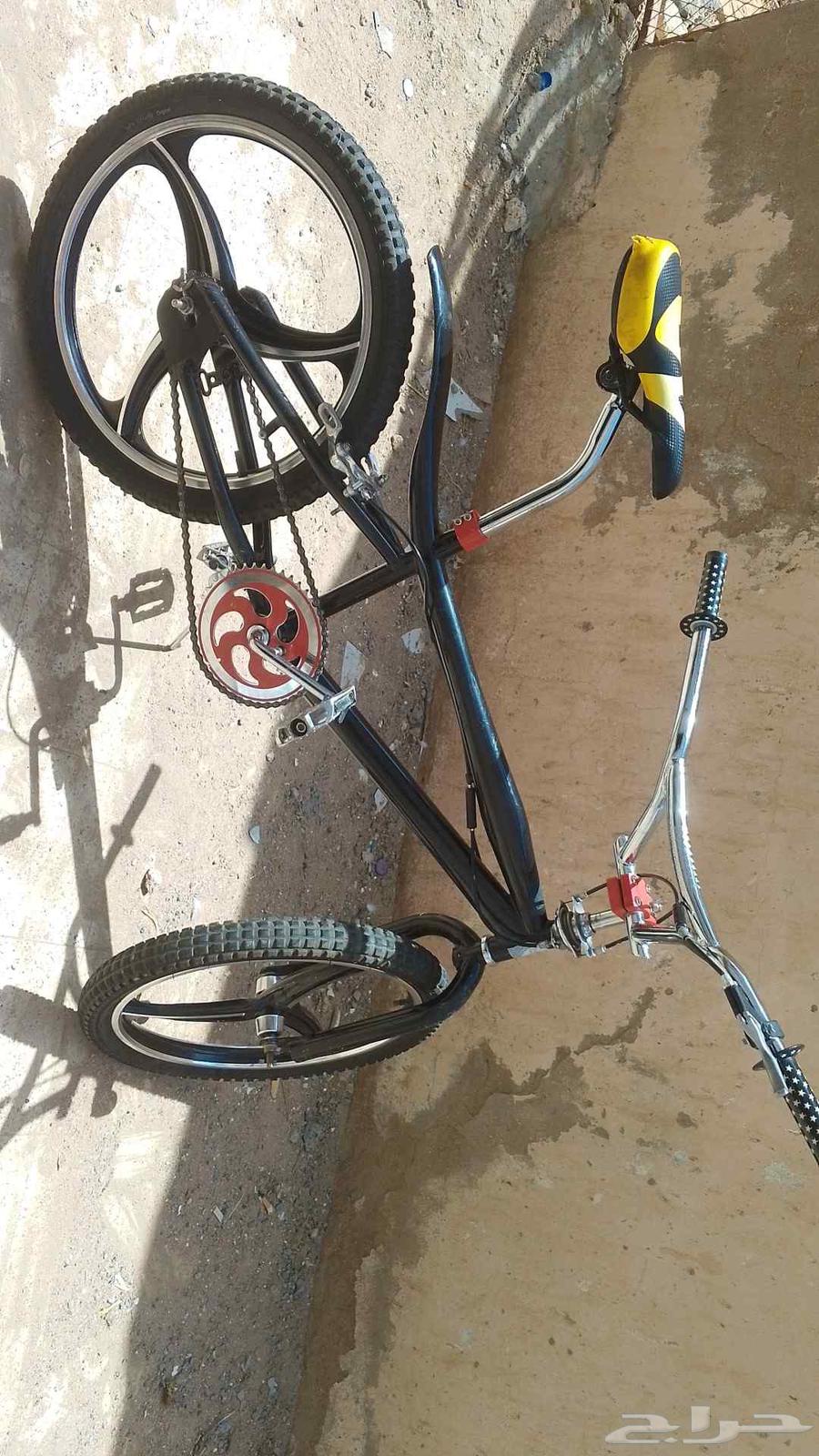 Cobra size 2064574103152515110