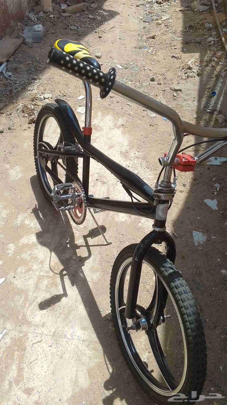 Cobra size 2064574103152515111