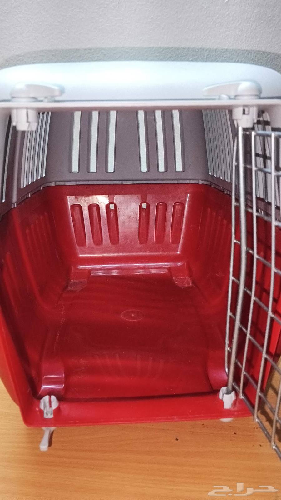 اغراض قطط للبيع64578381834242114