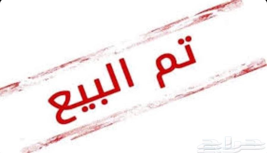 Productive Rabbit Condition64577544998786110