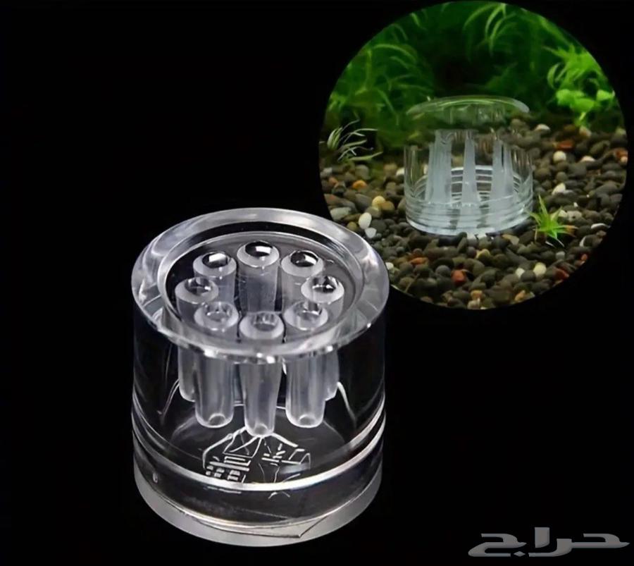 مصيدة ديدان البلاناريا لاحواض السمك والشرمب64576841431682113