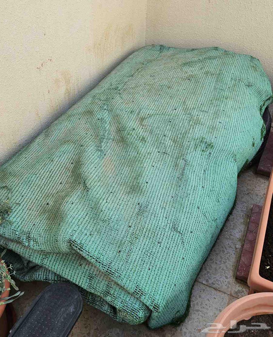 عشب صناعي للبيع   مقاس 9م   3.85م64574692256771111