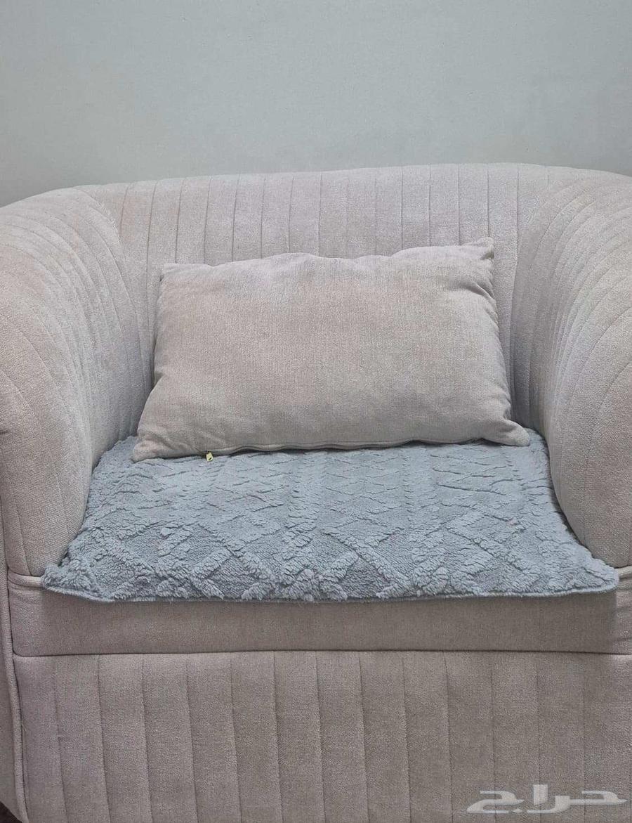 الكنوب والكراسي لفرفة الجلوس64579691438850111