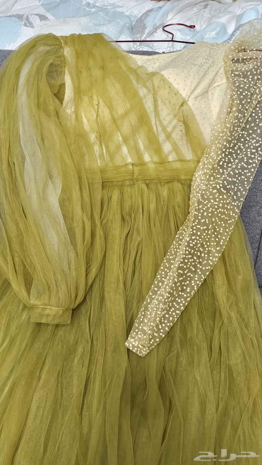 Al-Swaidi64572271827203110