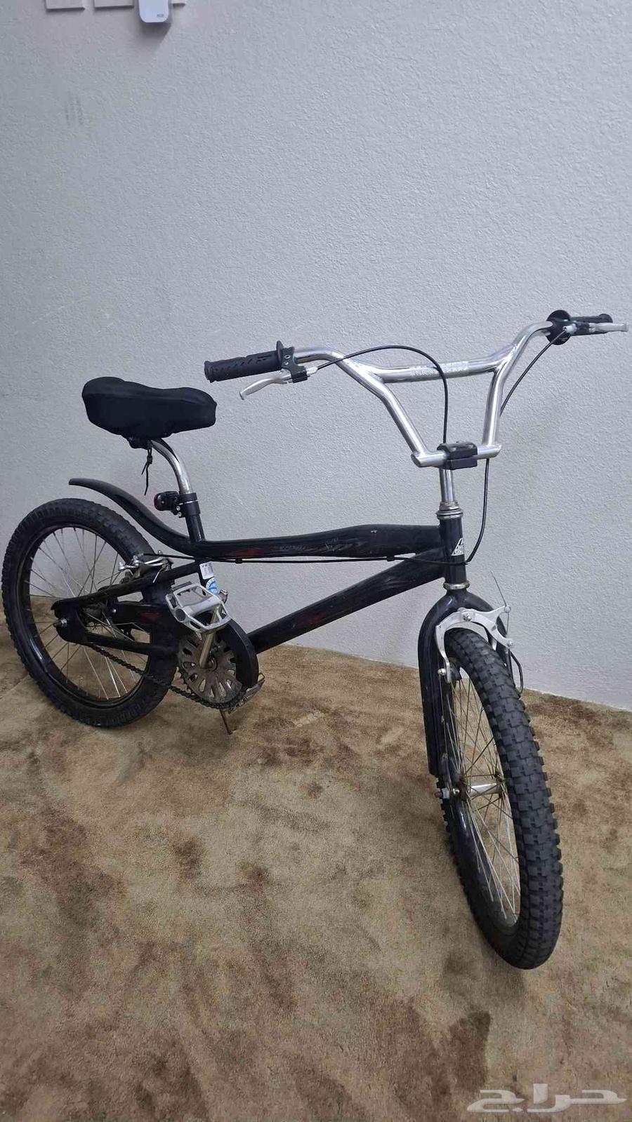 سيكل كوبرا مقاس 2064577782931202110