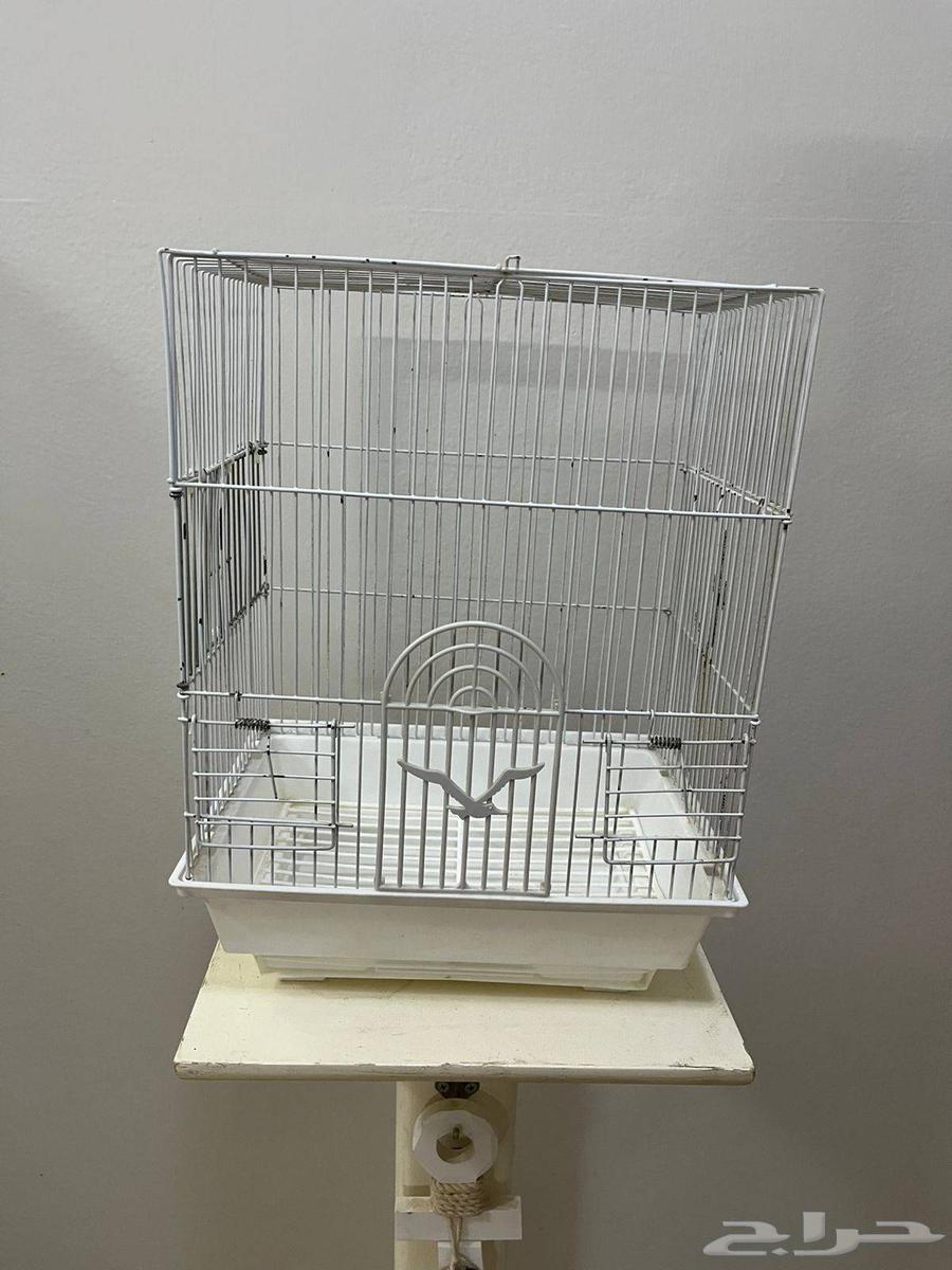Bird cages for sale64575434038275113