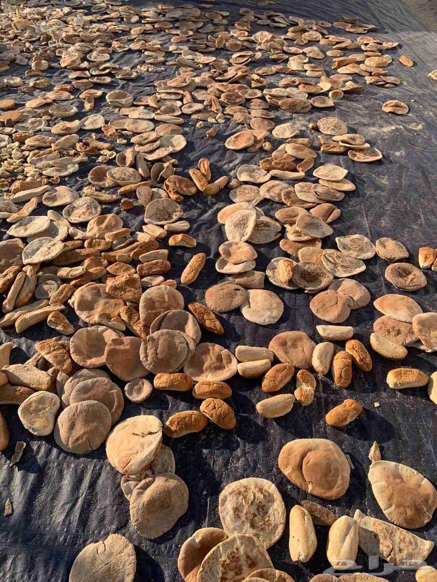 خبز ناشف ومكسر جاهز للبيع64573825033090112