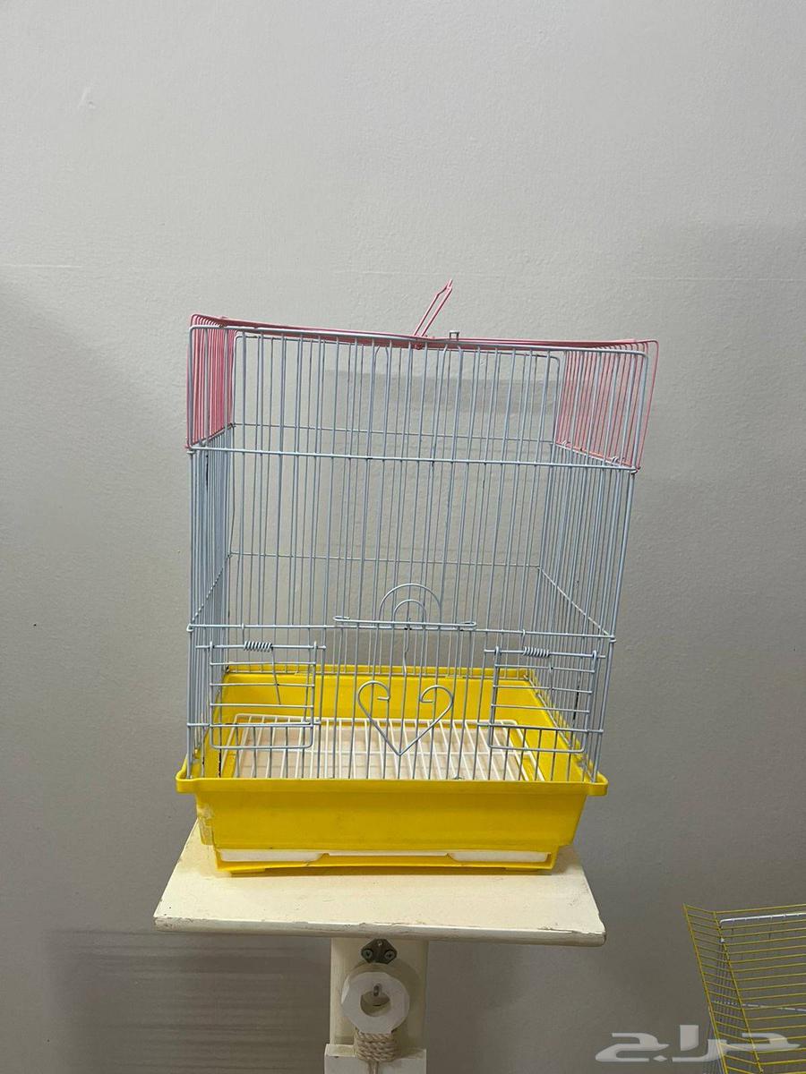 Bird cages for sale64575434038275114