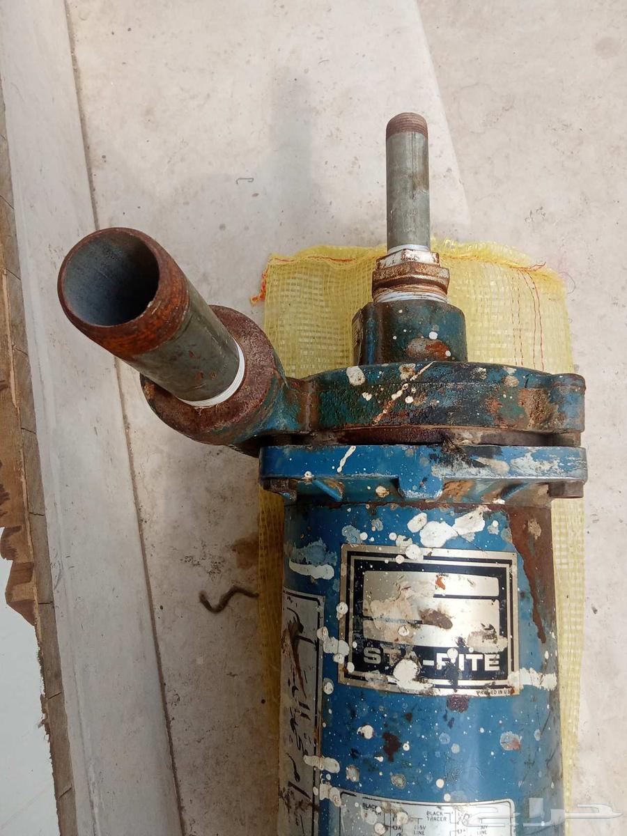 Bassam Dynamo Horse and a Half Used64573950286466112