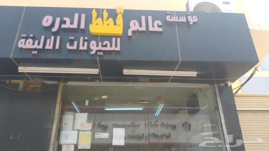 محل طيور للتقبيل صامطه64145690714241111