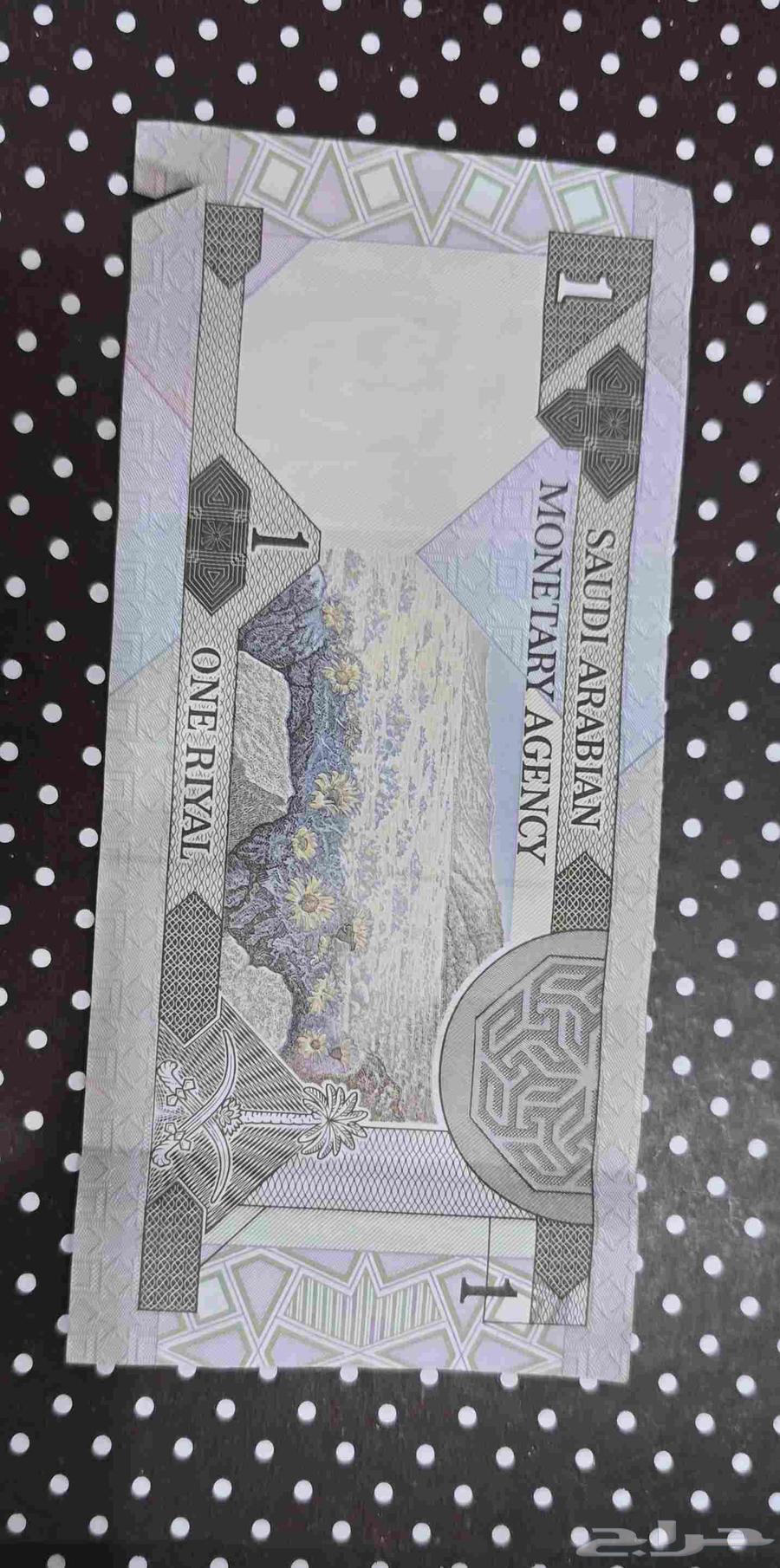 ريال الملك فهد64575279683842111