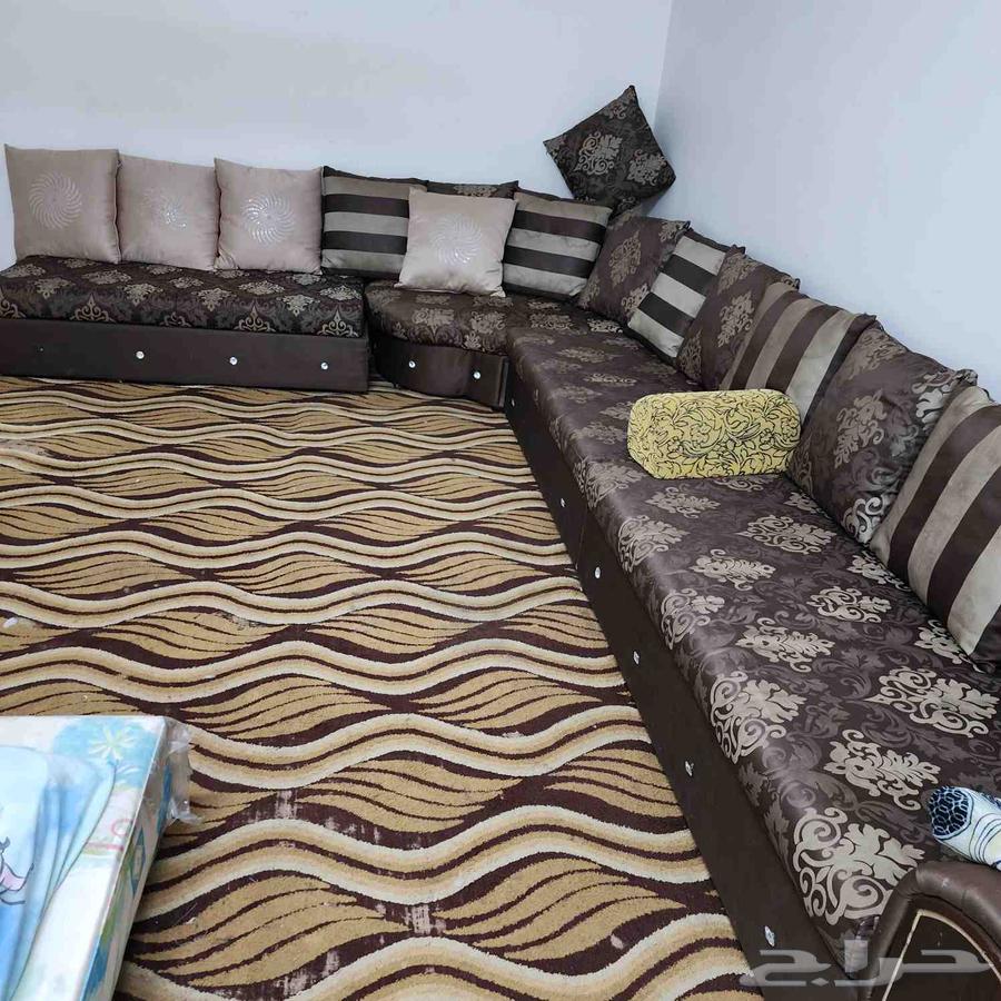 مجلس كبير بالسجادة والموكيت للبيع64571957905282112