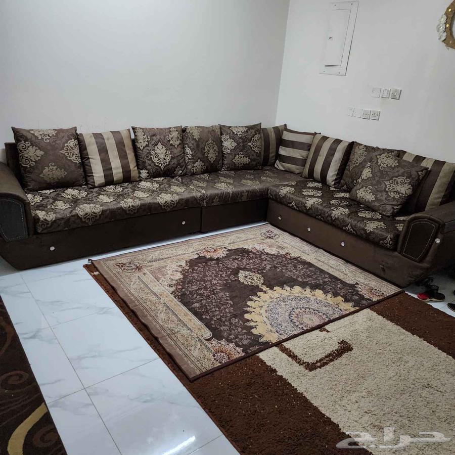 مجلس كبير بالسجادة والموكيت للبيع64571957905282110