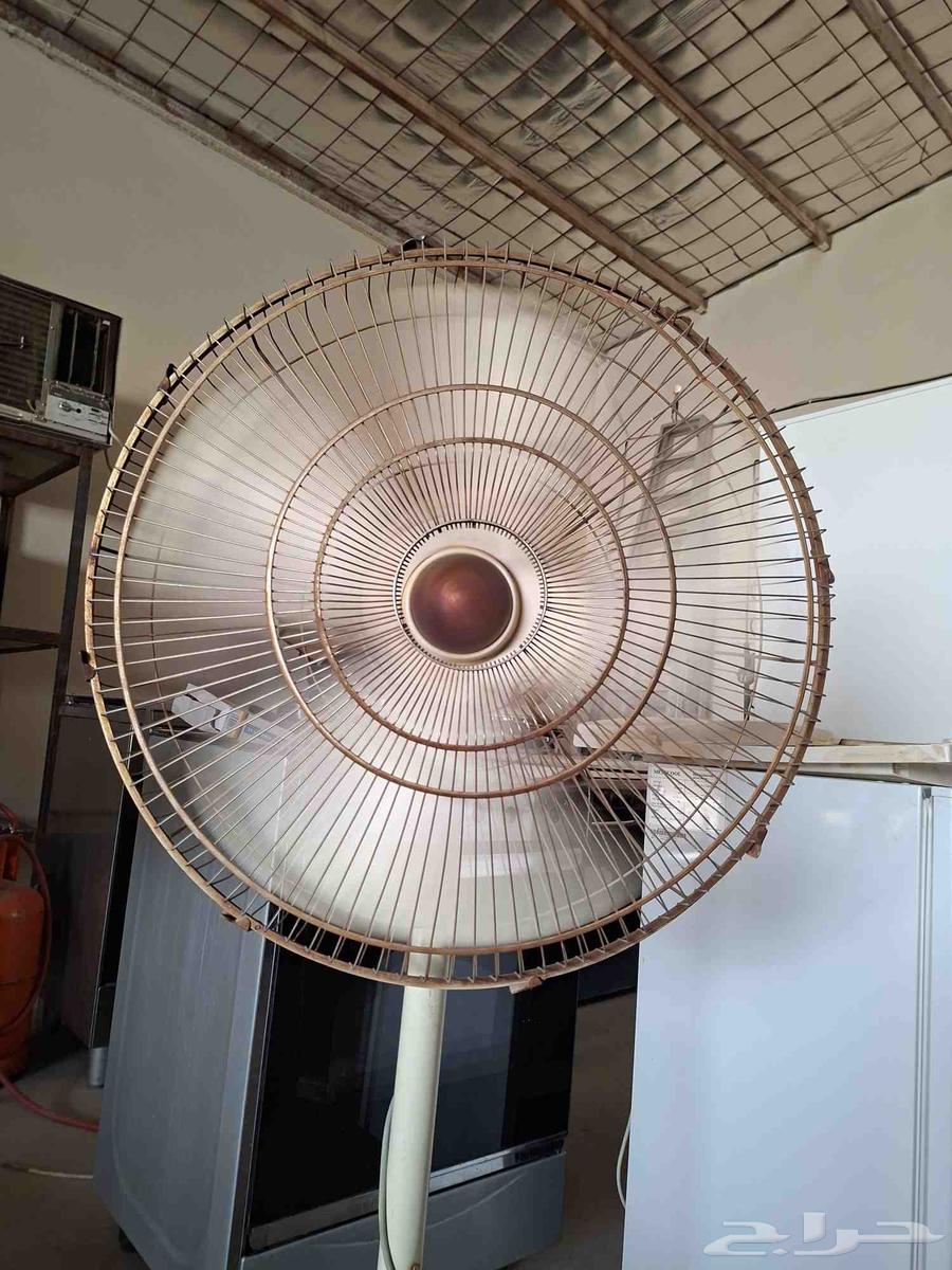 Large fan, suitable price64575698321795110