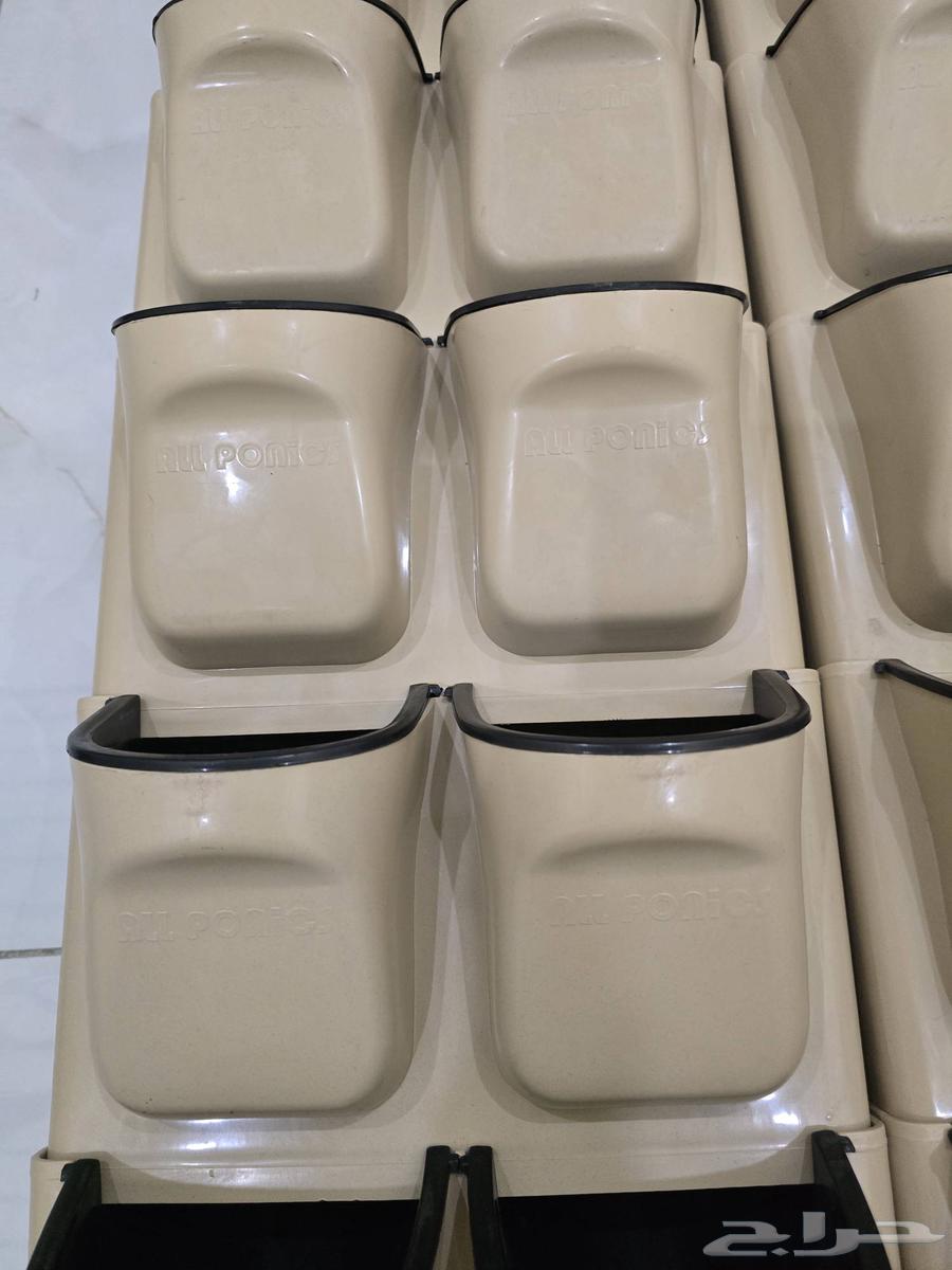 لوحة جدارية نباتات طبيعية64579567679107111