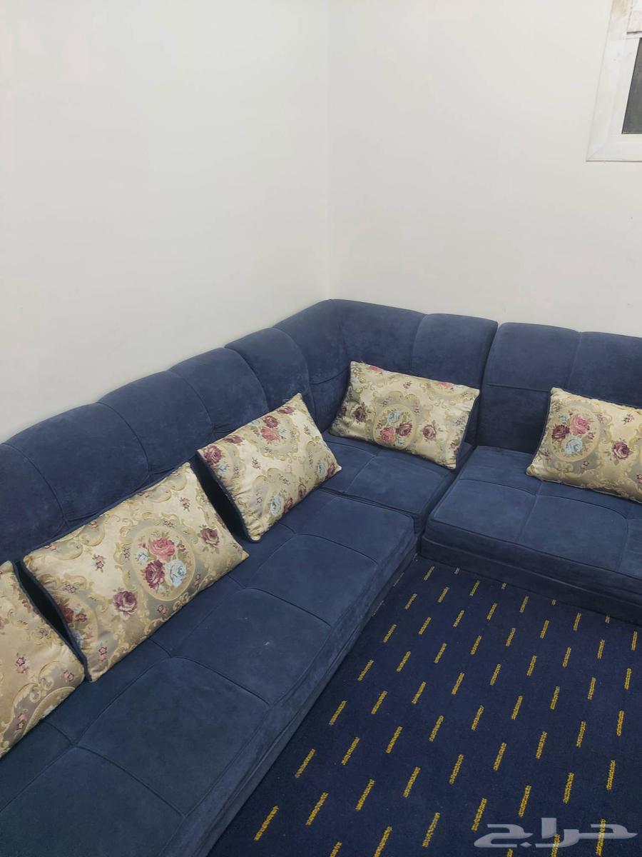 مجلس حالته جيدة للبيع64579308265603113