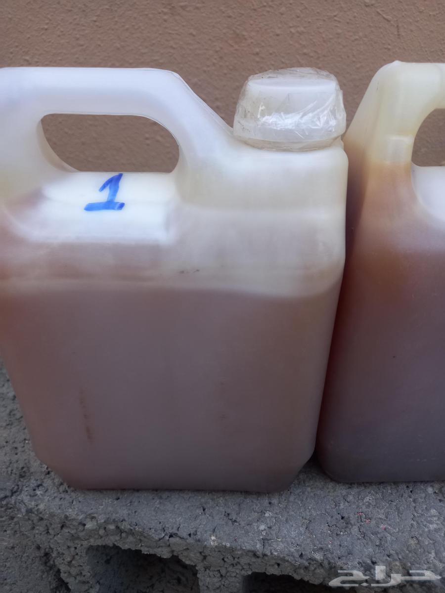 عسل سدر يمني اصلي رقم 1.64578992086787111