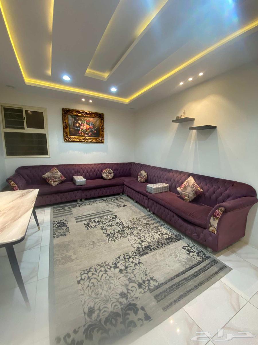 للبيع كنب زاوية 8 متر مع السجادة 3 في 264579252788354111