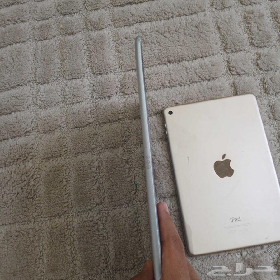 للبيع ايبادين mini و pro64576157696898113